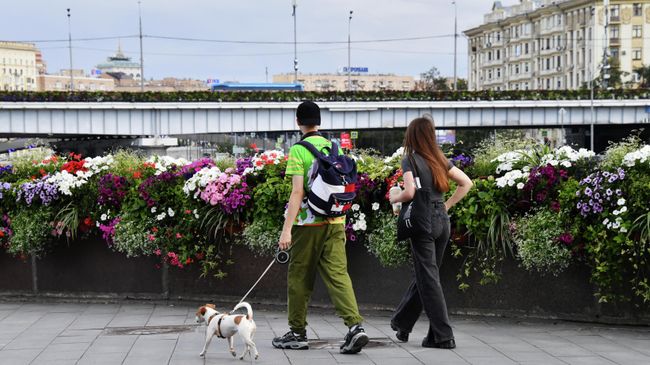 Люди во время прогулки по набережной в Москве.