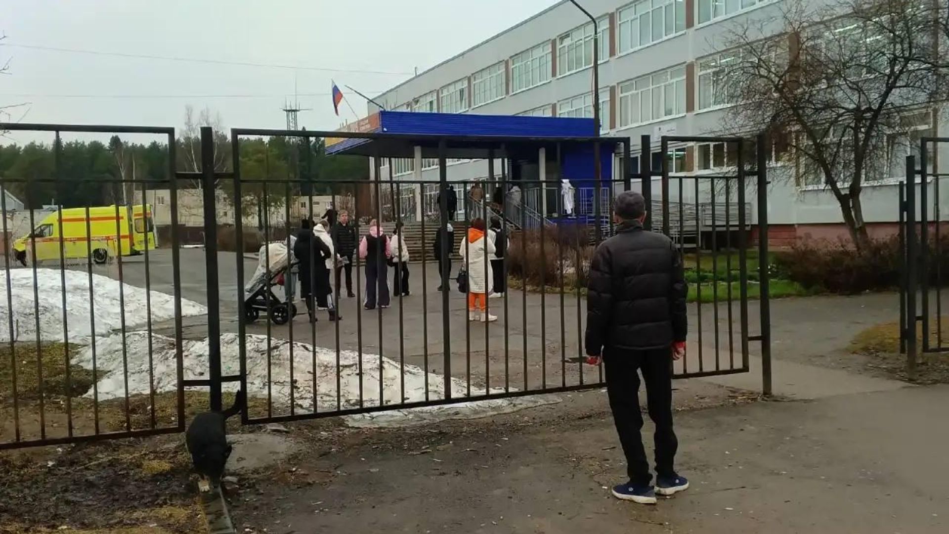 Школа в Добрянке, Пермский край, где произошло убийство учительницы Школа в Добрянке, Пермский край, где произошло убийство учительницы - РИА Новости, 1920, 08.04.2026