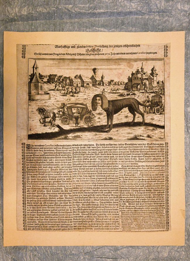 Гравюра Истинное и правдоподобное представление ужасного происшествия (1672 год)