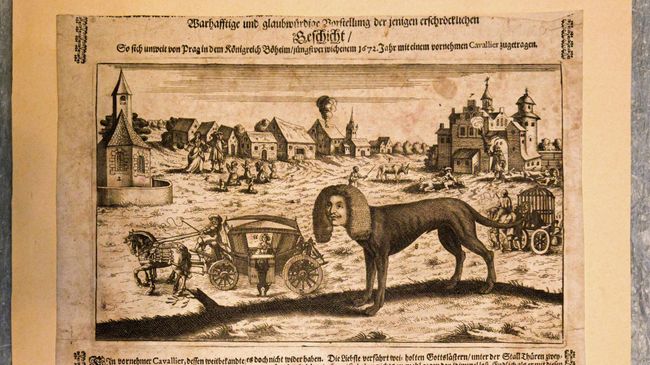 Гравюра Истинное и правдоподобное представление ужасного происшествия (1672 год)