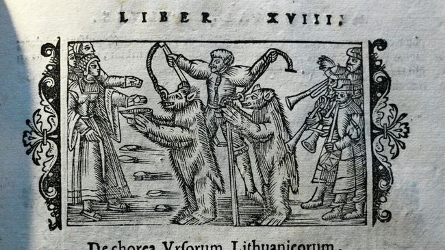 Книга: Олай Магн История северных народов. Рим, 1555 год