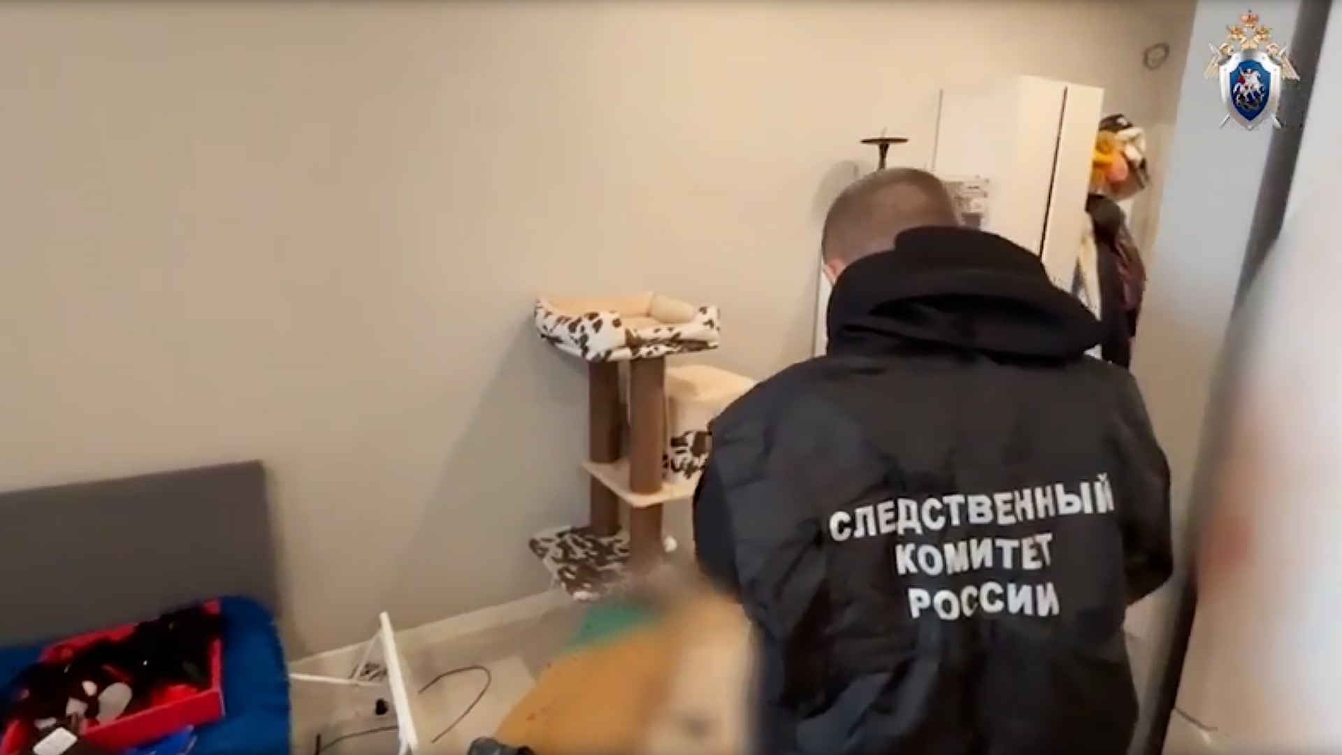 Сотрудник СК России проводит следственные мероприятия в квартире в Мытищах, где обнаружили супругов с колото-резаными ранами - РИА Новости, 1920, 19.04.2026