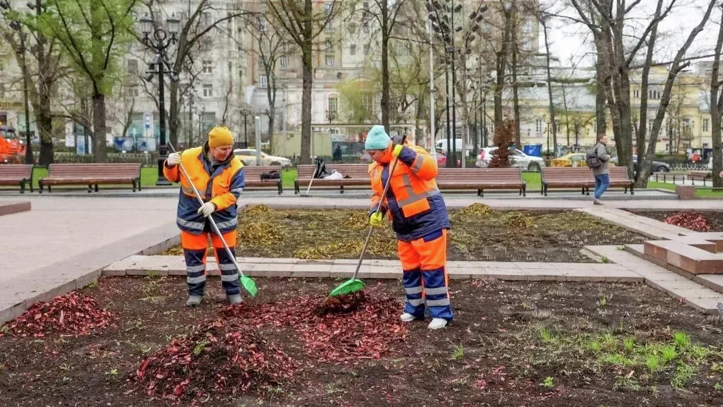 Специалисты комплекса городского хозяйства подготавливают цветники к весенне-летнему сезону в Москве Специалисты комплекса городского хозяйства подготавливают цветники к весенне-летнему сезону в Москве - РИА Новости, 1920, 19.04.2026