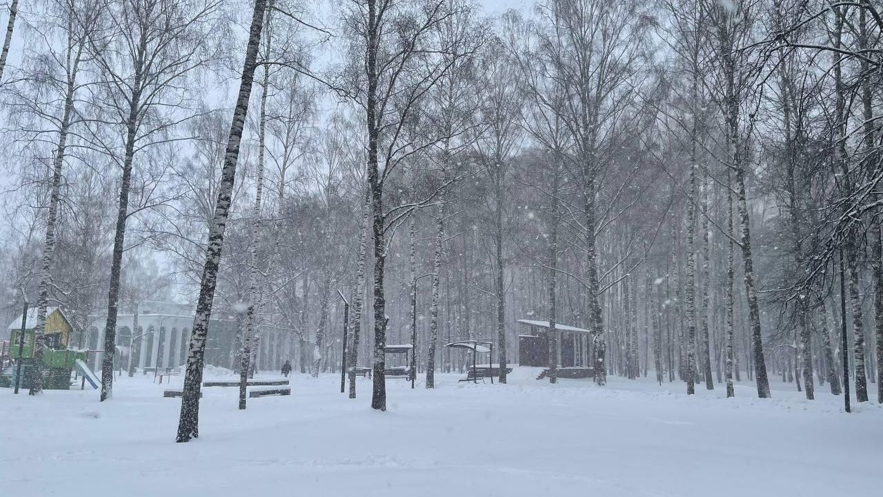Снегопад в Нижнем Новгороде. 21 апреля 2026 - РИА Новости, 1920, 21.04.2026