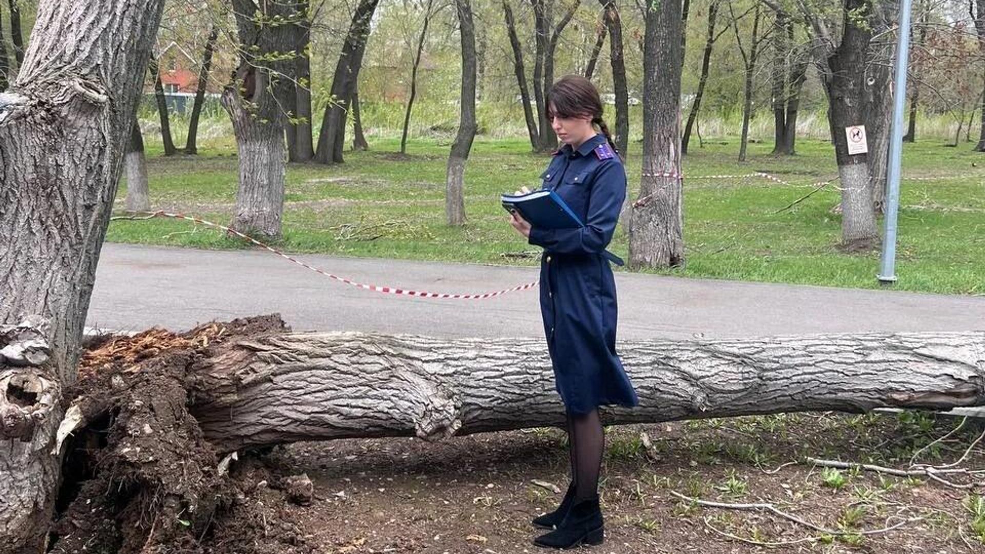 Сотрудник СК на месте, где дерево упало на двух несовершеннолетних девочек в Самаре Сотрудник СК на месте, где дерево упало на двух несовершеннолетних девочек в Самаре - РИА Новости, 1920, 27.04.2026