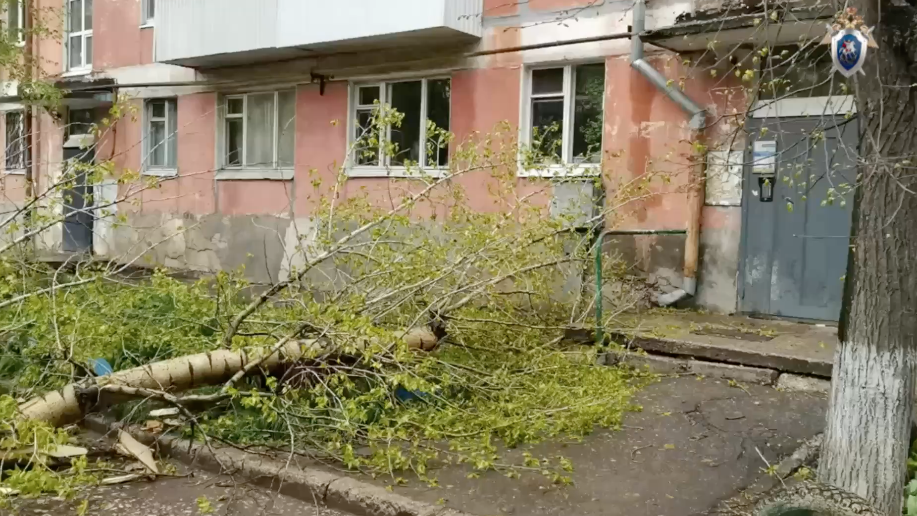 Упавшее дерево, ставшее причиной гибели мужчины в Самаре Упавшее дерево, ставшее причиной гибели мужчины в Самаре - РИА Новости, 1920, 27.04.2026