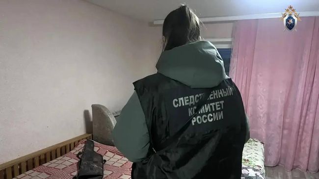 В городе Арзамасе по факту гибели ребенка возбуждено уголовное дело