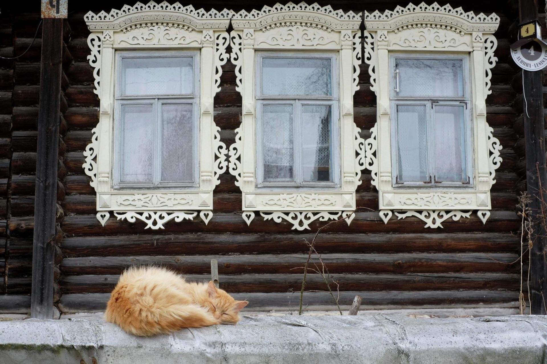 Кошка спит на трубе у деревянного дома с резными наличниками в городе Гороховец - РИА Новости, 1920, 22.05.2026
