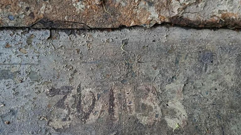 Раскопки в Новгородской области Раскопки в Новгородской области
