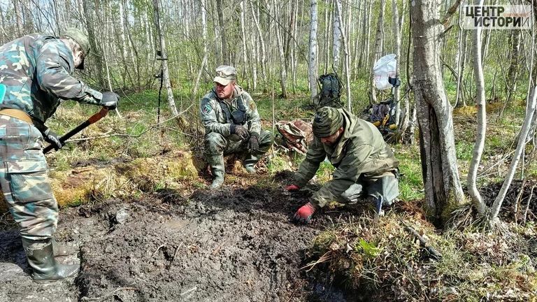 Раскопки в Новгородской области Раскопки в Новгородской области