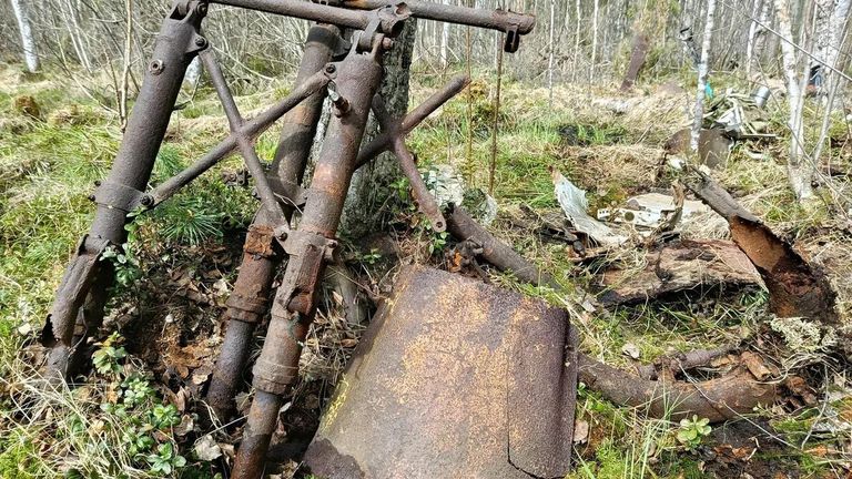 Раскопки в Новгородской области Раскопки в Новгородской области