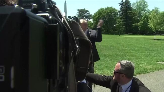 Президент США Дональд Трамп отбился от пчелы, которую окрестил злой