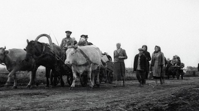 Беженцы уходят из оккупированных немецкими захватчиками районов