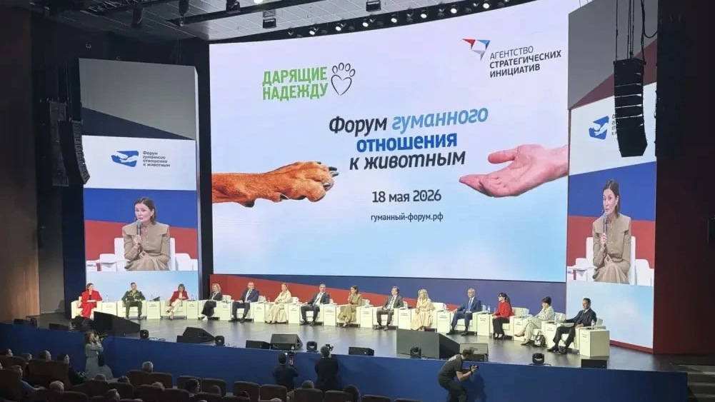 Проект Экосистема заботы объединит усилия по защите животных - РИА Новости, 1920, 18.05.2026
