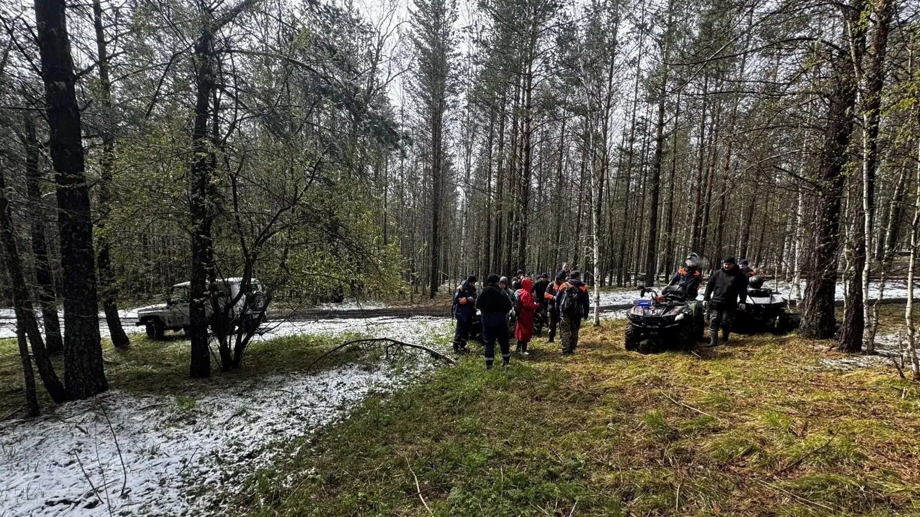 Поиски на месте предполагаемой пропажи семьи Усольцевых Поиски на месте предполагаемой пропажи семьи Усольцевых - РИА Новости, 1920, 10.06.2026