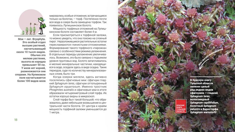 Разворот книги Что на Куликовом поле хвалит кулик Разворот книги Что на Куликовом поле хвалит кулик