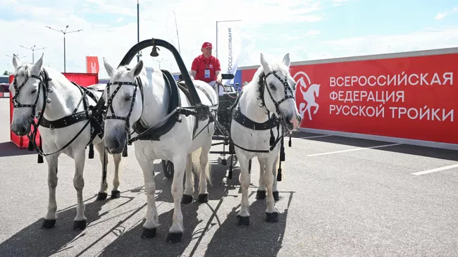 Всероссийская федерация русской тройки