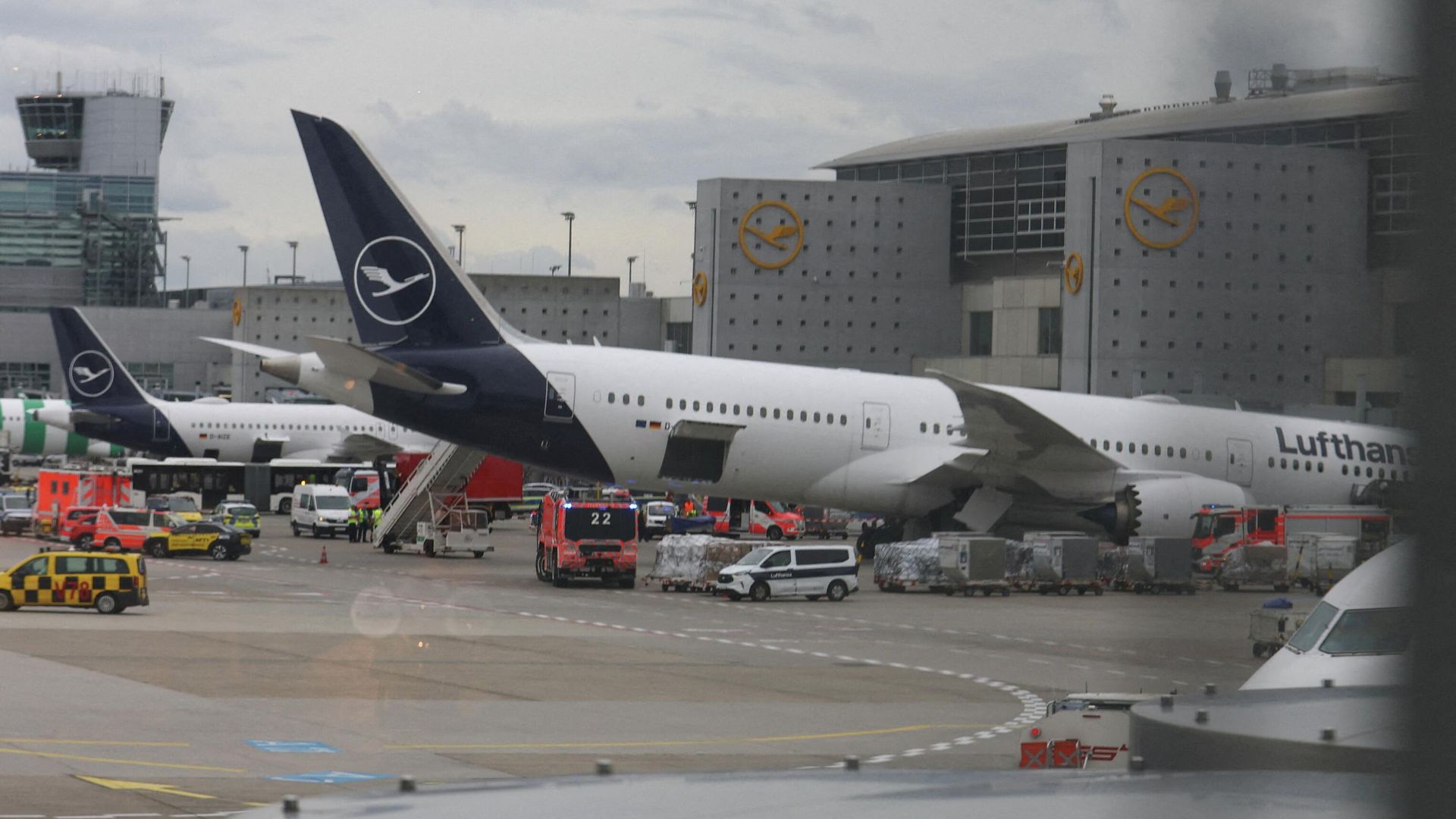 Самолет Lufthansa 787-9 D-ABPQ в аэропорту во Франкфурте Самолет Lufthansa 787-9 D-ABPQ в аэропорту во Франкфурте - РИА Новости, 1920, 04.06.2026