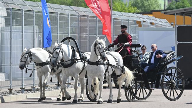Генеральный директор медиагруппы Россия сегодня Дмитрий Киселев на русской тройке Генеральный директор медиагруппы Россия сегодня Дмитрий Киселев на русской тройке