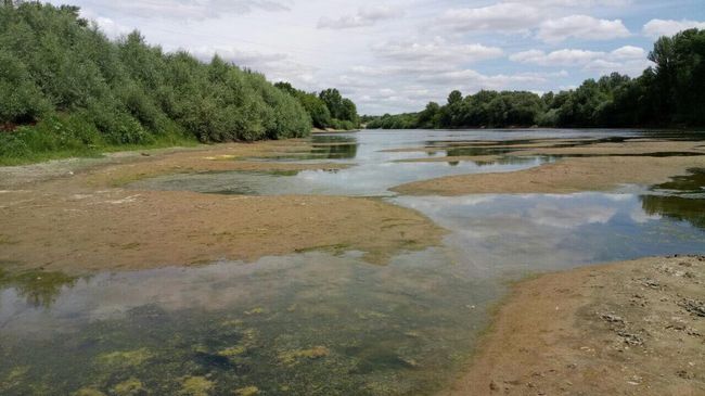 Река Днестр