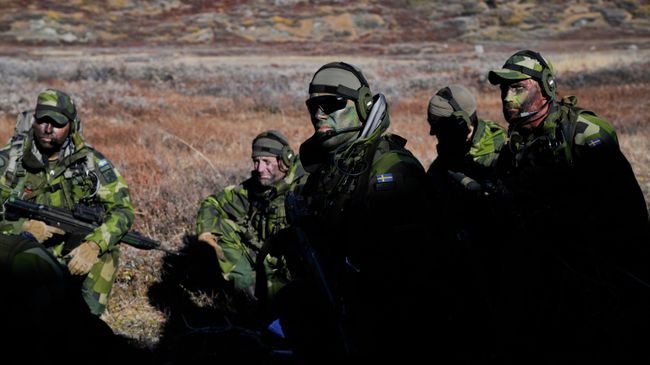 Шведские военнослужащие