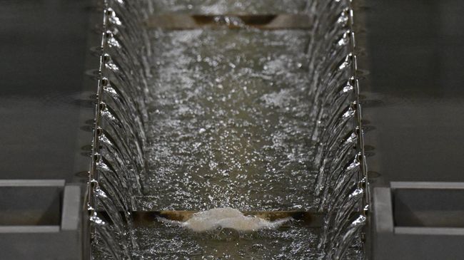 Работа Рублевской станции водоподготовки. Работа Рублевской станции водоподготовки.