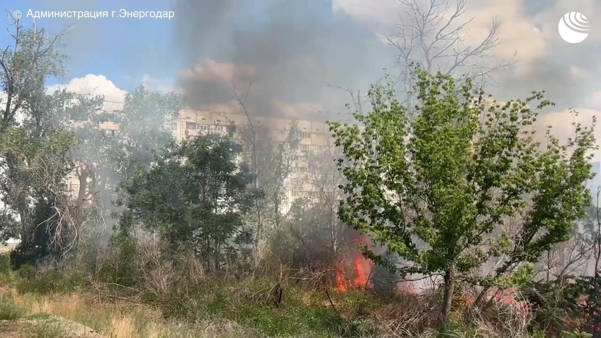 Дроны ВСУ подожгли лес рядом с городской застройкой Энергодара Дроны ВСУ подожгли лес рядом с городской застройкой Энергодара - РИА Новости, 1920, 22.06.2026