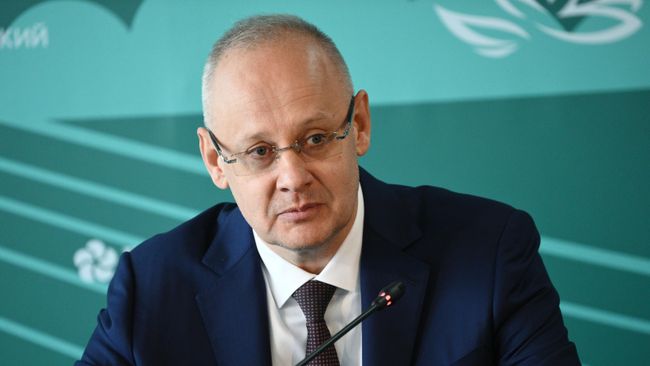 Советник президента России Антон Кобяков