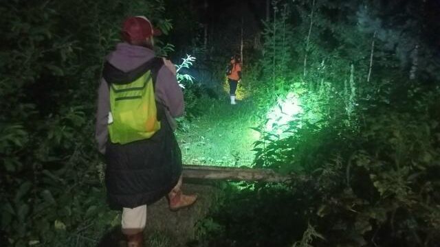 Спасатели и волонтеры в Свердловской области на поисках женщины с деменцией Спасатели и волонтеры в Свердловской области на поисках женщины с деменцией - РИА Новости, 1920, 27.06.2026