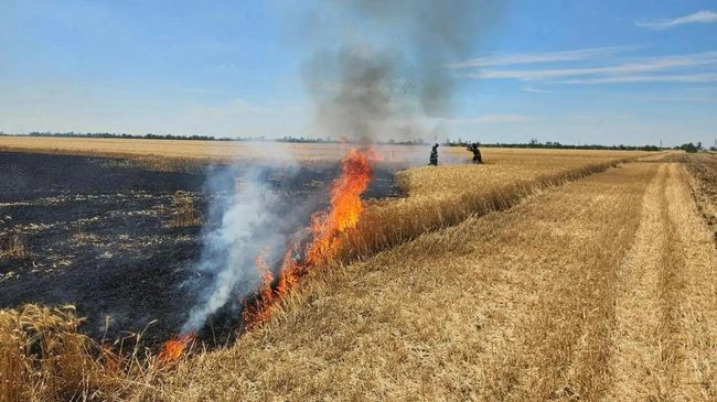 Пожар после атаки беспилотника ВСУ в Запорожской области