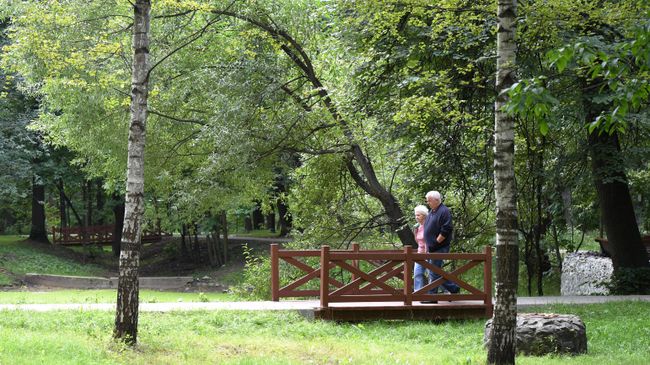 Пожилая пара в парке