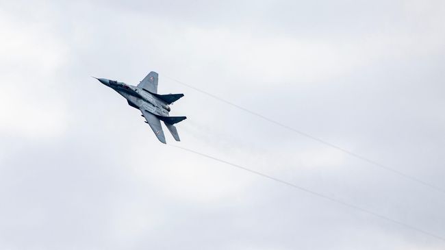 Истребитель МиГ-29 ВВС Польши