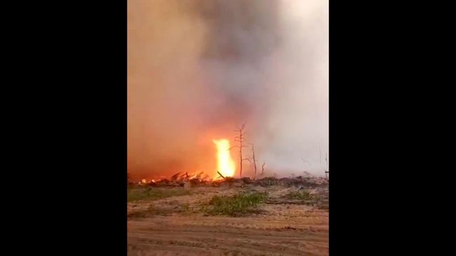Огненный смерч в Чернобыльской зоне отчуждения