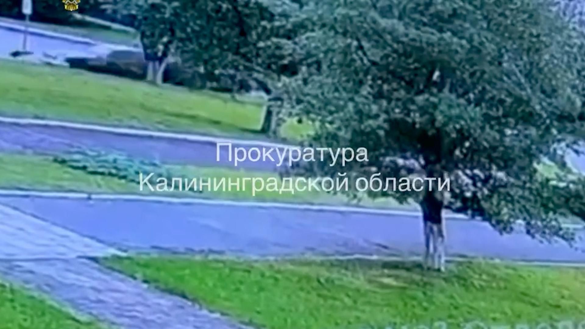 Момент ДТП в Калининграде, где пьяный водитель наехал на женщину с двумя детьми Момент ДТП в Калининграде, где пьяный водитель наехал на женщину с двумя детьми - РИА Новости, 1920, 05.07.2026