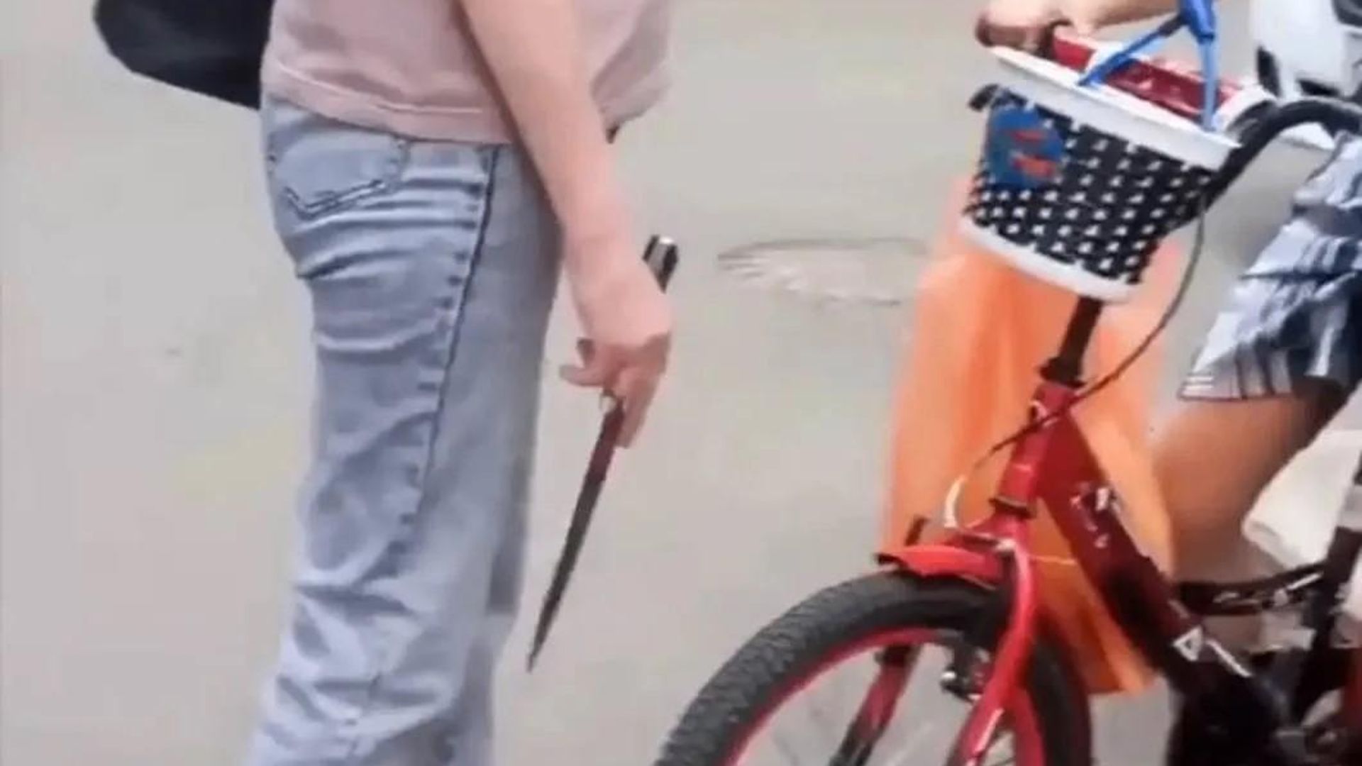 Женщина угрожает ребенку ножом в Ставрополе. Кадр видео Женщина угрожает ребенку ножом в Ставрополе. Кадр видео - РИА Новости, 1920, 07.07.2026