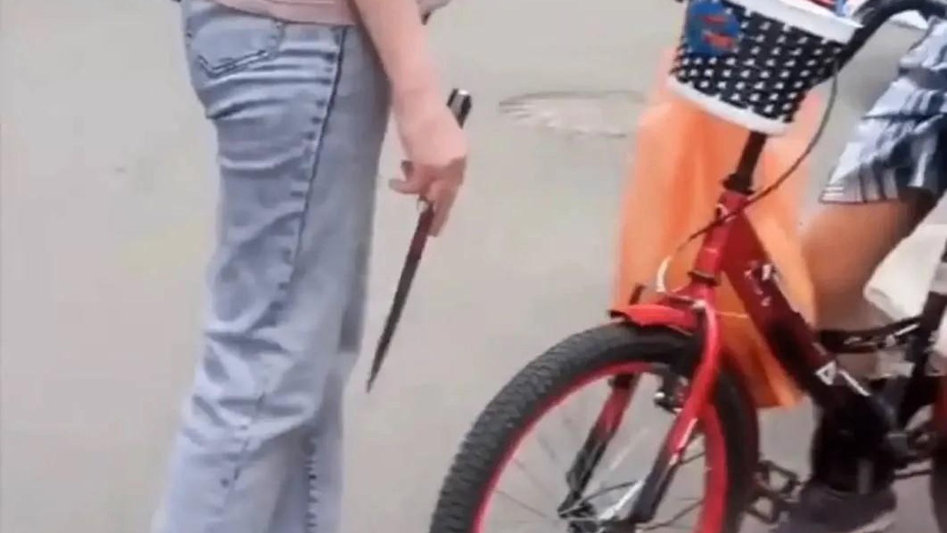 Женщина угрожает ребенку ножом в Ставрополе. Кадр видео Женщина угрожает ребенку ножом в Ставрополе. Кадр видео - РИА Новости, 1920, 07.07.2026
