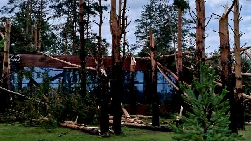 Последствия сильного ветра в районе села Дубровичи под Рязанью Последствия сильного ветра в районе села Дубровичи под Рязанью - РИА Новости, 1920, 10.07.2026