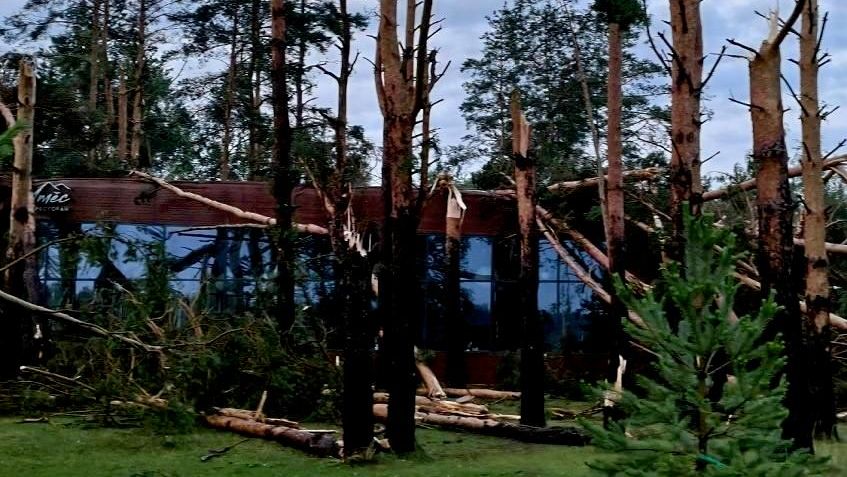 Последствия сильного ветра в районе села Дубровичи под Рязанью Последствия сильного ветра в районе села Дубровичи под Рязанью - РИА Новости, 1920, 10.07.2026