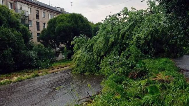 Последствия прохождения штормового фронта в Златоусте 11 июля 2026 года