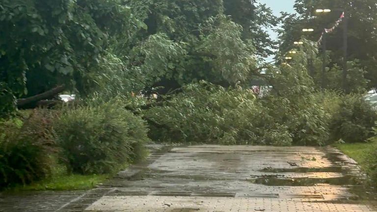 Последствия сильного ветра и дождя в Санкт-Петрбурге