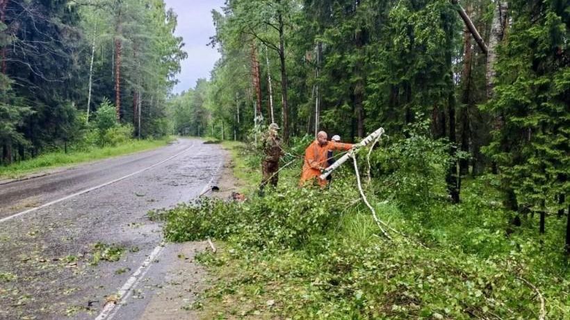 Дорожники Подмосковья ликвидировали последствия циклона на региональных дорогах Дорожники Подмосковья ликвидировали последствия циклона на региональных дорогах - РИА Новости, 1920, 13.07.2026