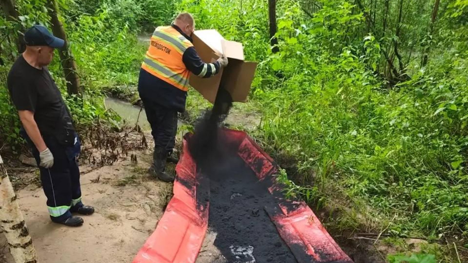 Специалисты ГУП Мосводосток выполняют обработку зеркала воды сорбентом в Машкинском ручье - РИА Новости, 1920, 13.07.2026