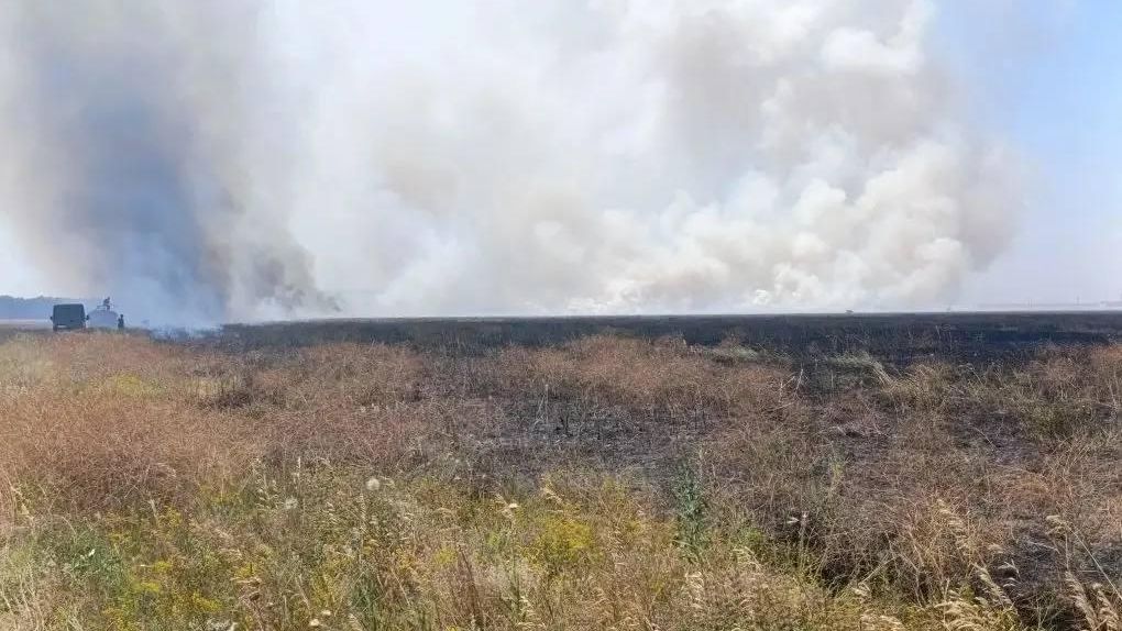 Пожар после атак беспилотников ВСУ в заповеднике Аскания-Нова в Херсонской области - РИА Новости, 1920, 18.07.2026