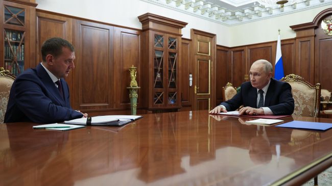 Президент России Владимир Путин и губернатор Запорожской области Евгений Балицкий во время встречи