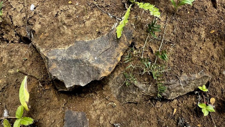 Коренной выход бурого железняка недалеко от Куликова поля, вблизи села Суханово Тульской области Коренной выход бурого железняка недалеко от Куликова поля, вблизи села Суханово Тульской области