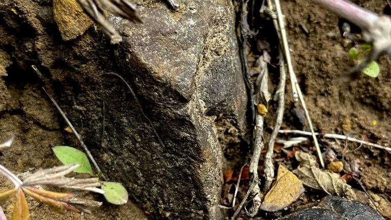 Коренной выход бурого железняка недалеко от Куликова поля, вблизи села Суханово Тульской области Коренной выход бурого железняка недалеко от Куликова поля, вблизи села Суханово Тульской области