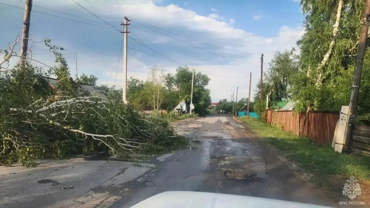 Последствия ураганного ветра в Алтайском крае Последствия ураганного ветра в Алтайском крае - РИА Новости, 1920, 22.07.2026