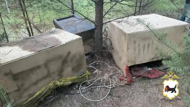 Майнинговая ферма в деревне Столбова в Иркутской области