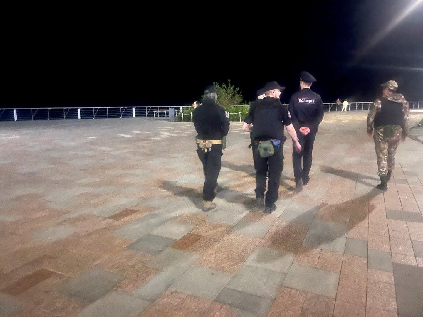 Бойцы Тигр, Правопорядок и полицейские во время рейда Бойцы Тигр, Правопорядок и полицейские во время рейда