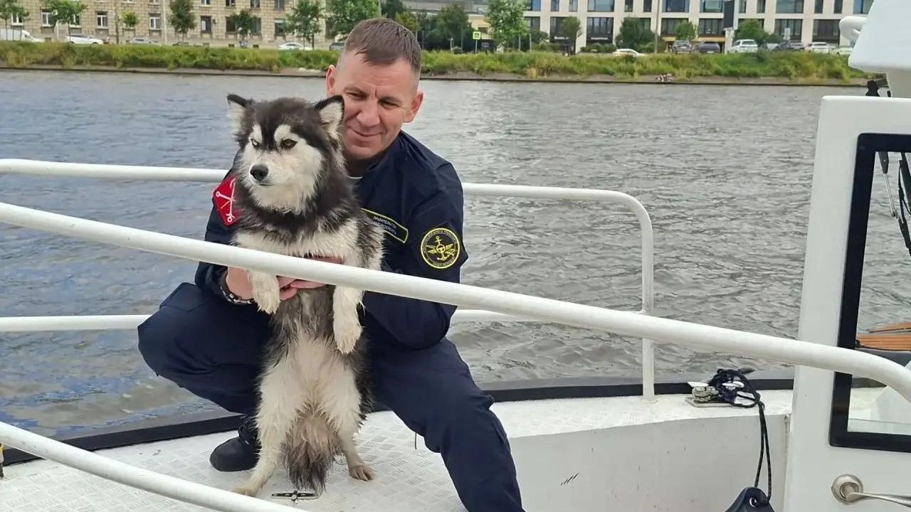 Патруль на воде агентства внешнего транспорта спас собаку Лею из Невы в Санкт-Петербурге Патруль на воде агентства внешнего транспорта спас собаку Лею из Невы в Санкт-Петербурге - РИА Новости, 1920, 23.07.2026